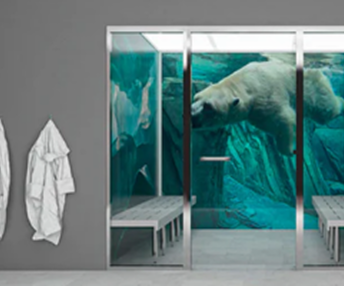 Frost Locker Immersion Room for Peak Recovery